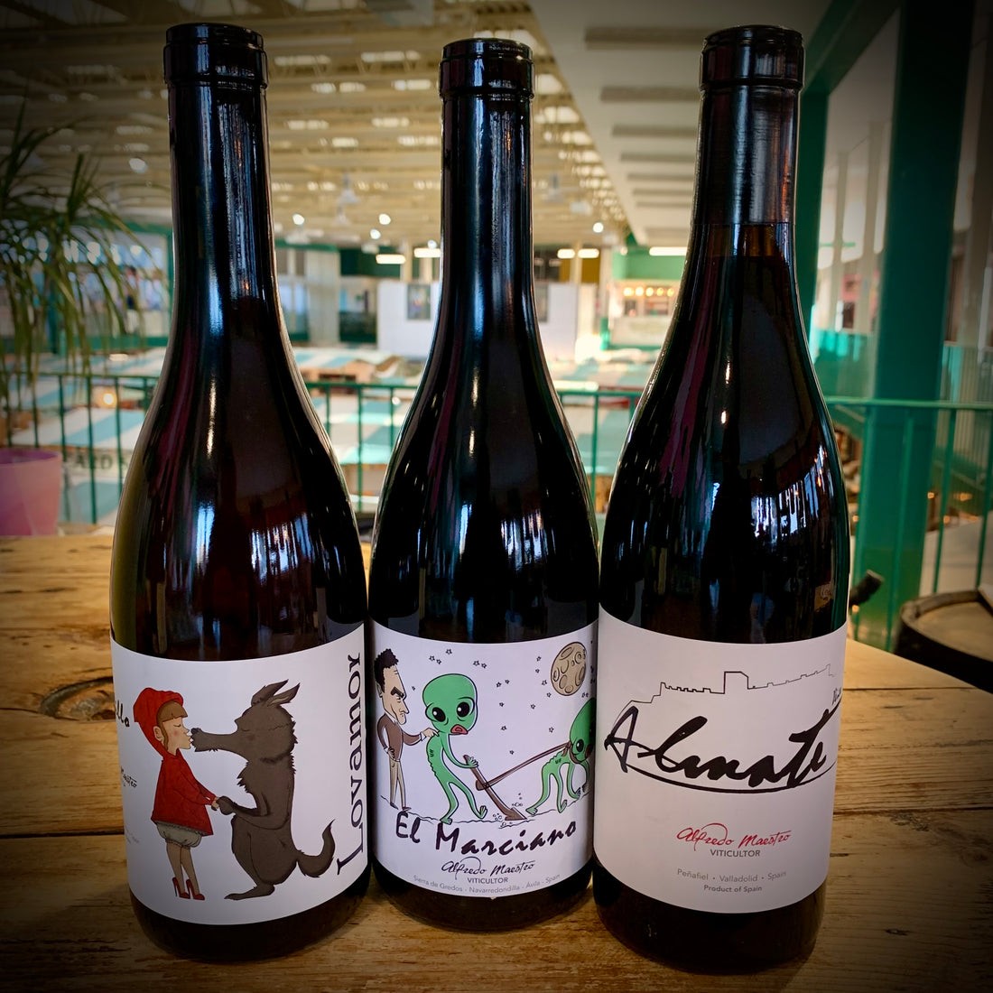 New Arrivals from the Maestro