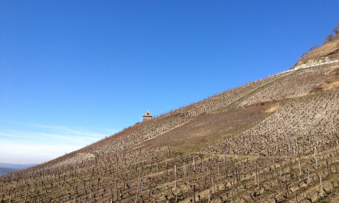 The Edit, January 2024