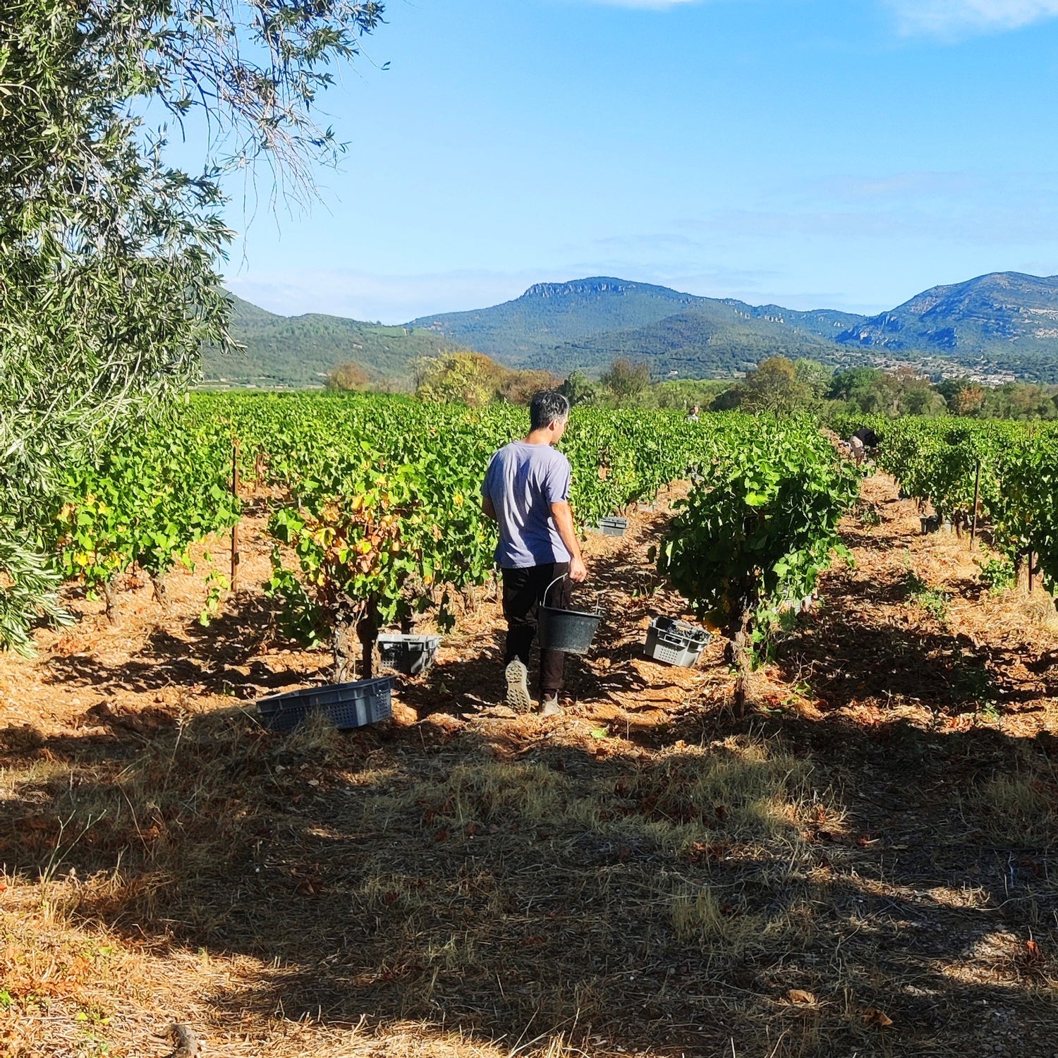Spotlight - Provence and the South of France