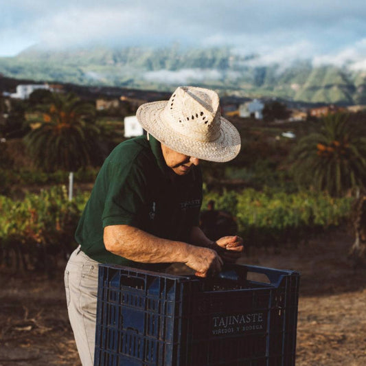 This Month We're Mainly Drinking - six great wines to drink just now - a six bottle box set