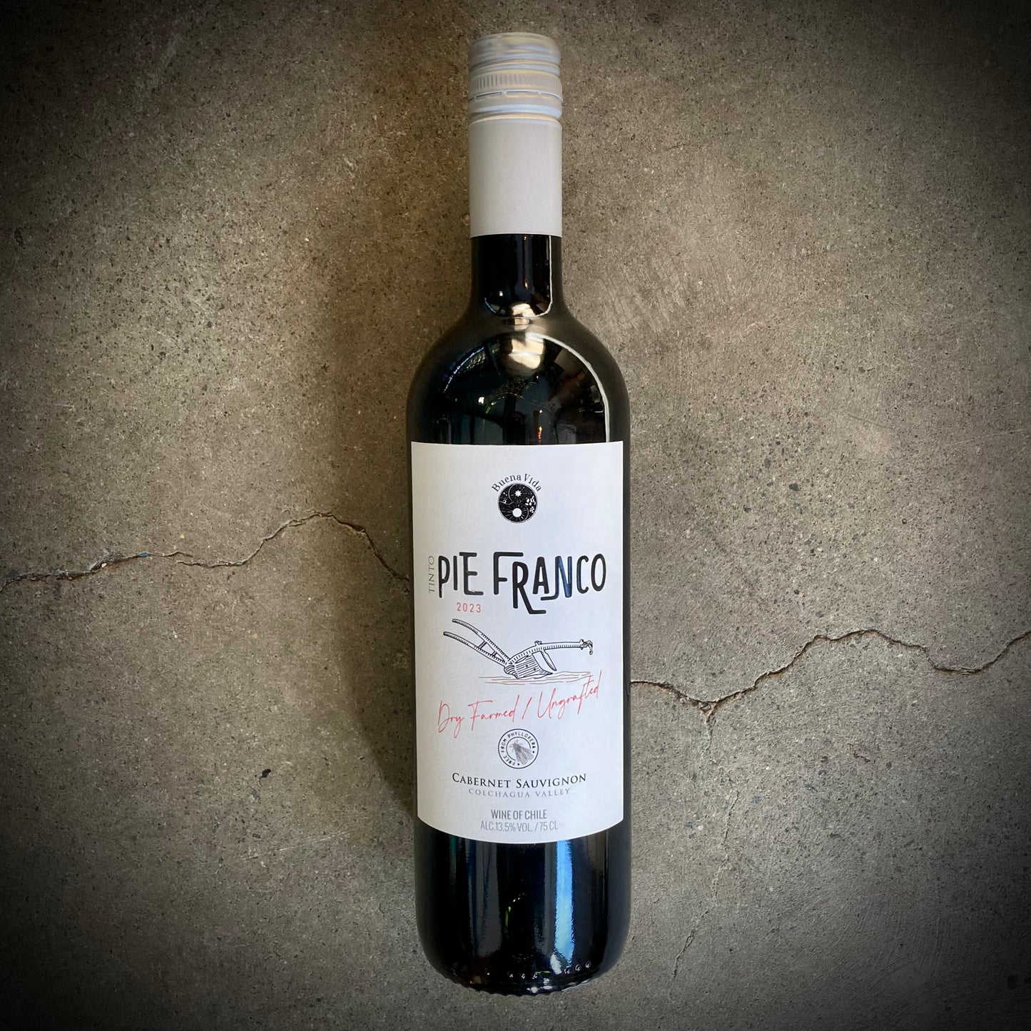 Pie Franco, Cabernet Sauvignon, Colchagua Valley, Chile