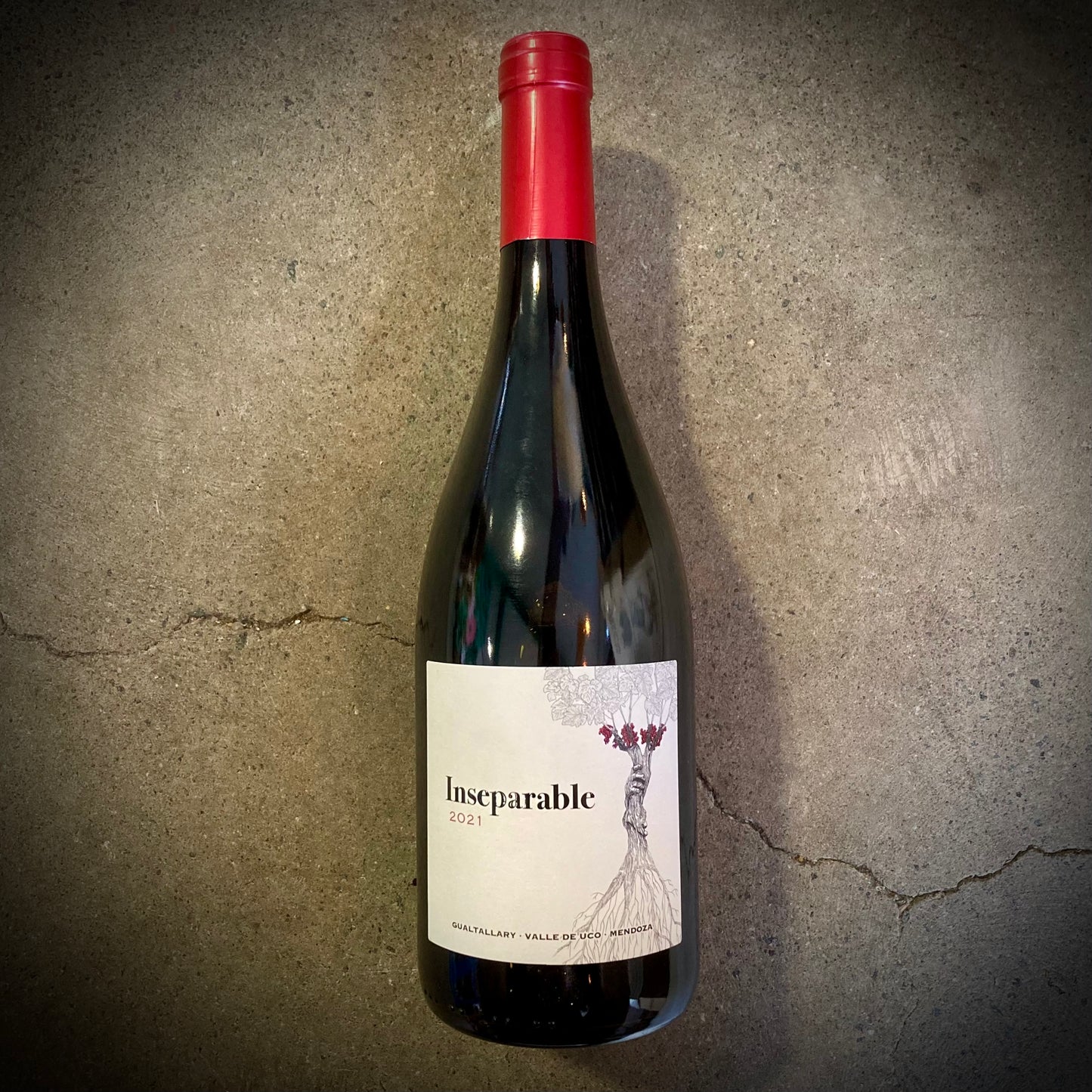 Perse, Inseparable, Mendoza, Argentina