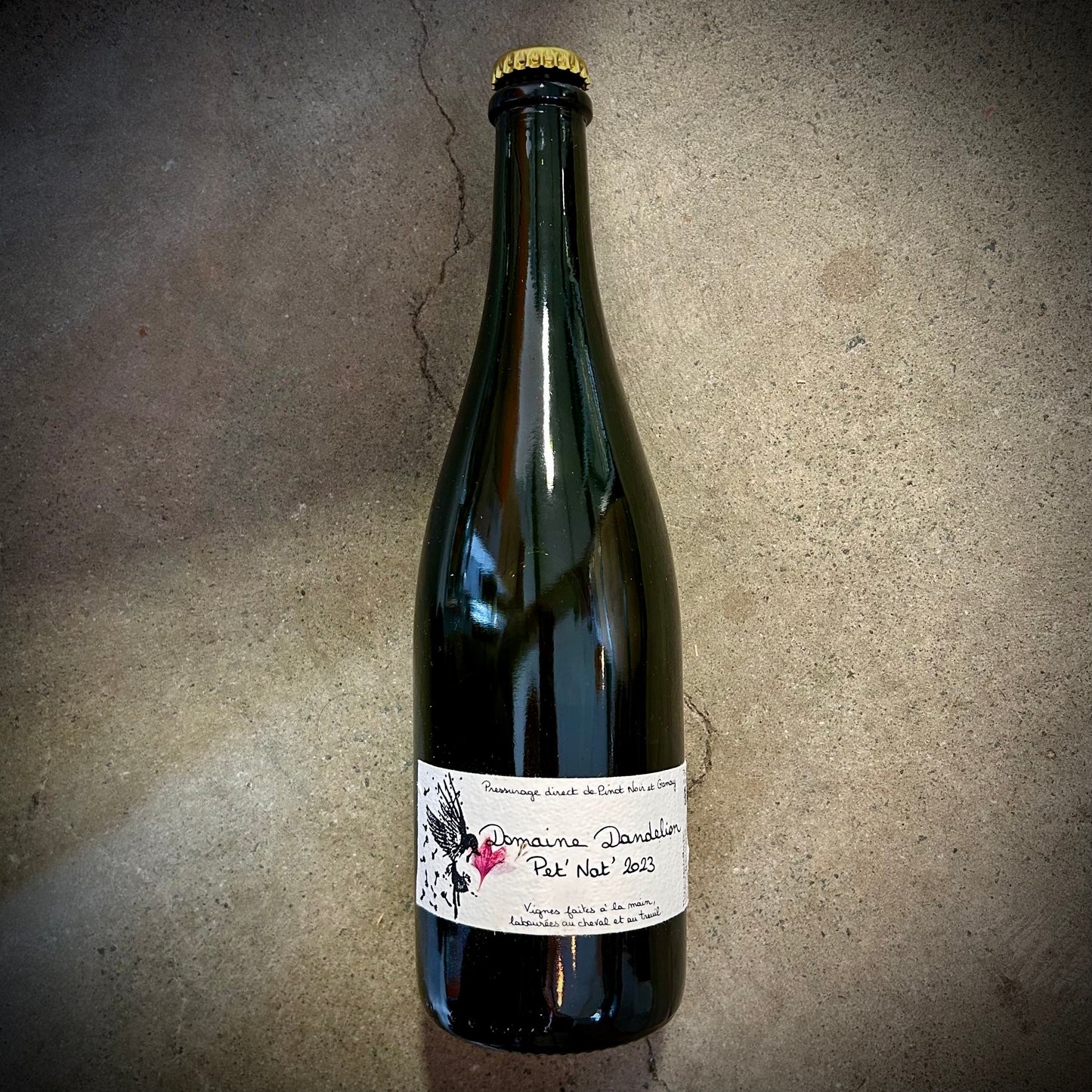 Domaine Dandelion, Pet Nat 2023, Beaune, Burgundy, France