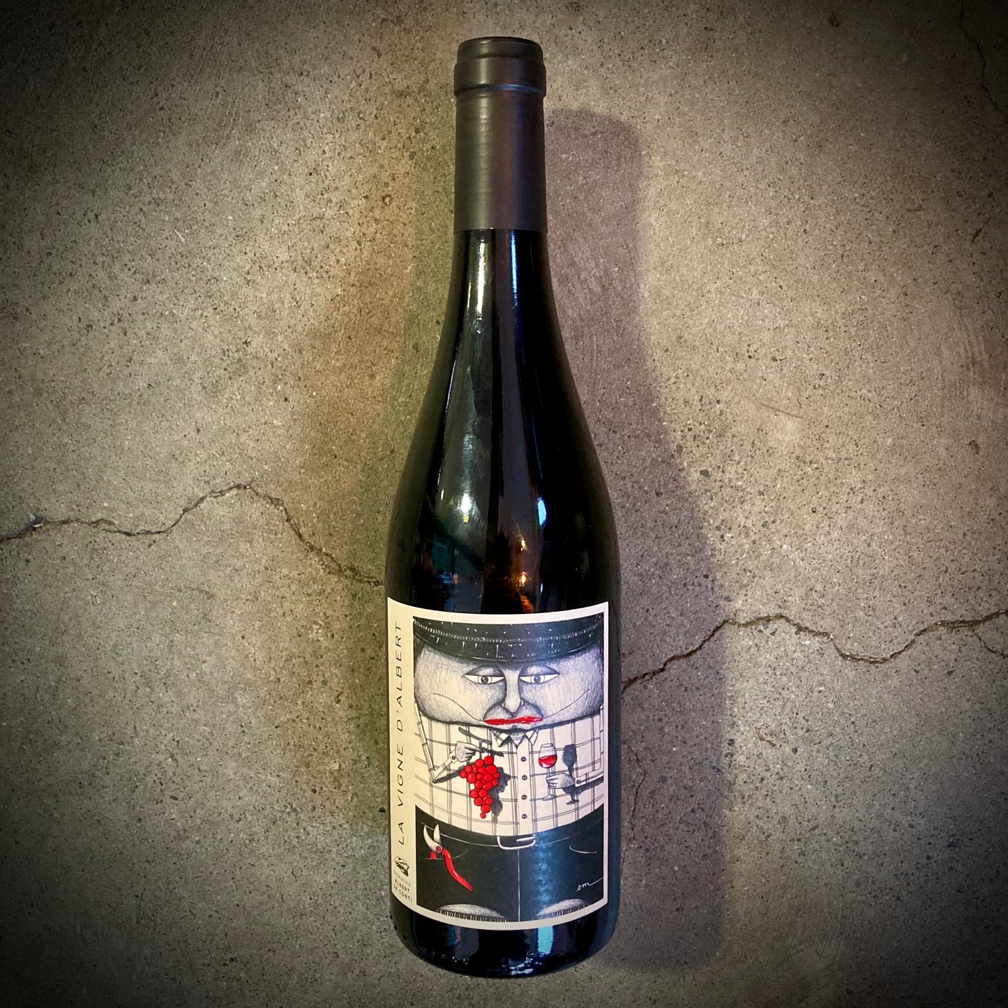 Albert de Conti, La Vigne d'Albert, Bergerac, France