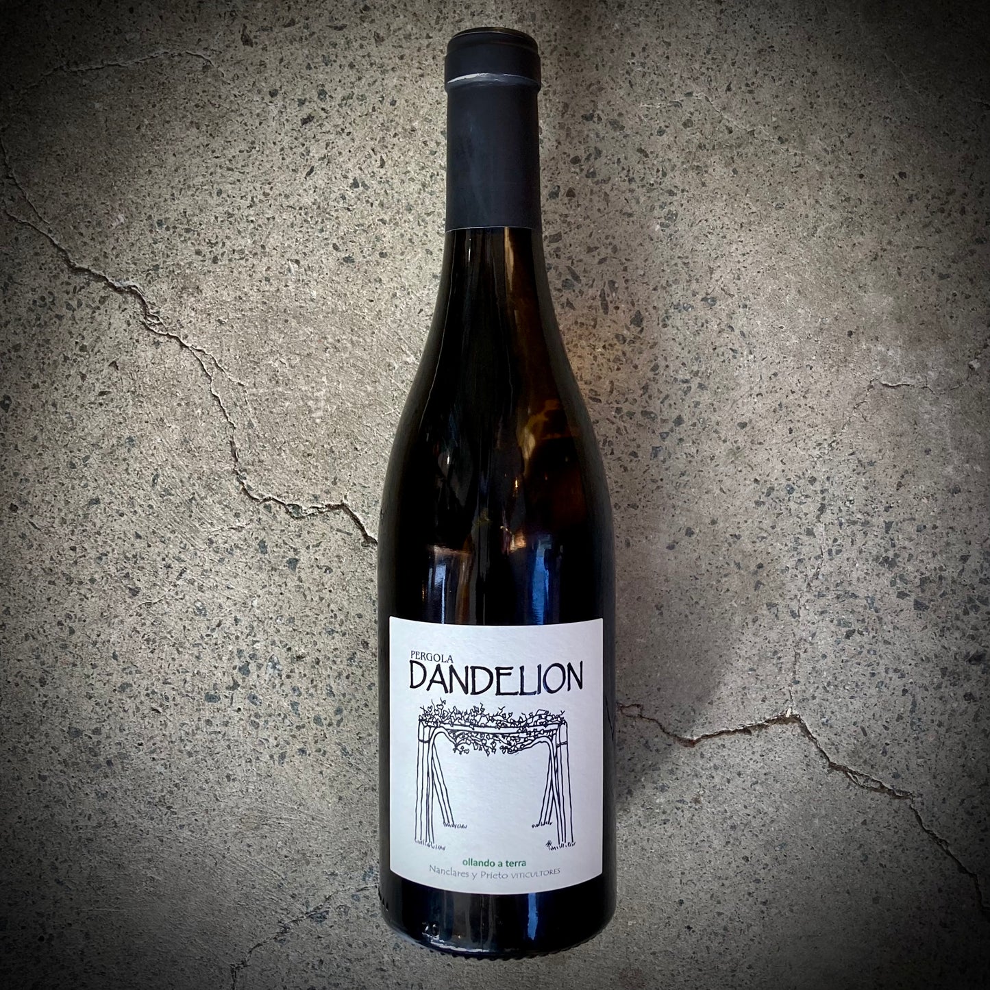 Alberto Nanclares, Dandelión, Rias Baixas, Spain