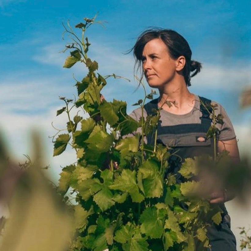 Domaine Elodie Jaume, 'Cabrieres', Chateauneuf Du Pape, Rhône, France
