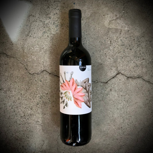 Bodega Tinedo, Ja!, Castillo la Mancha, Spain