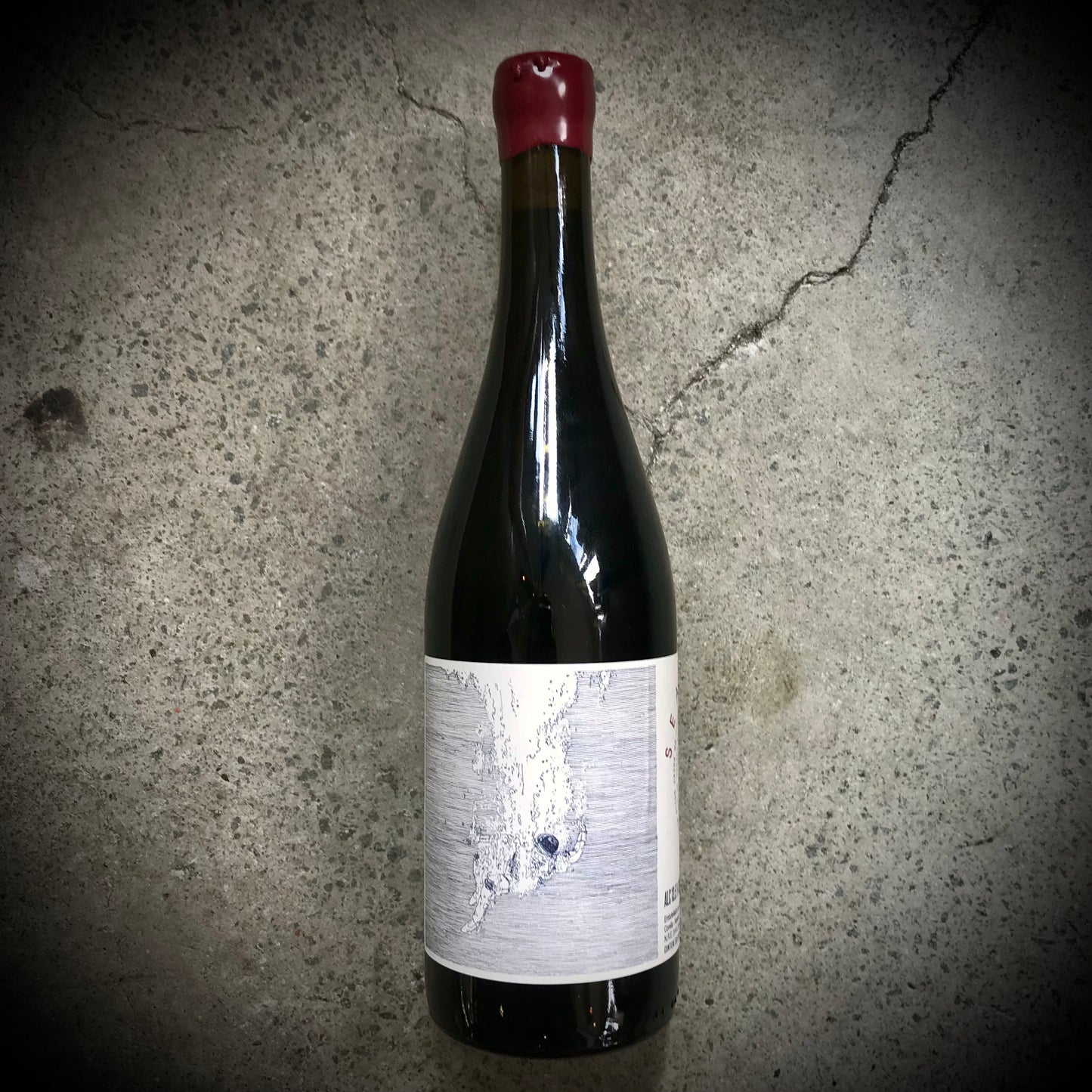 Vina Zorzal, Sea of Dreams Tinto, Navarra, Spain