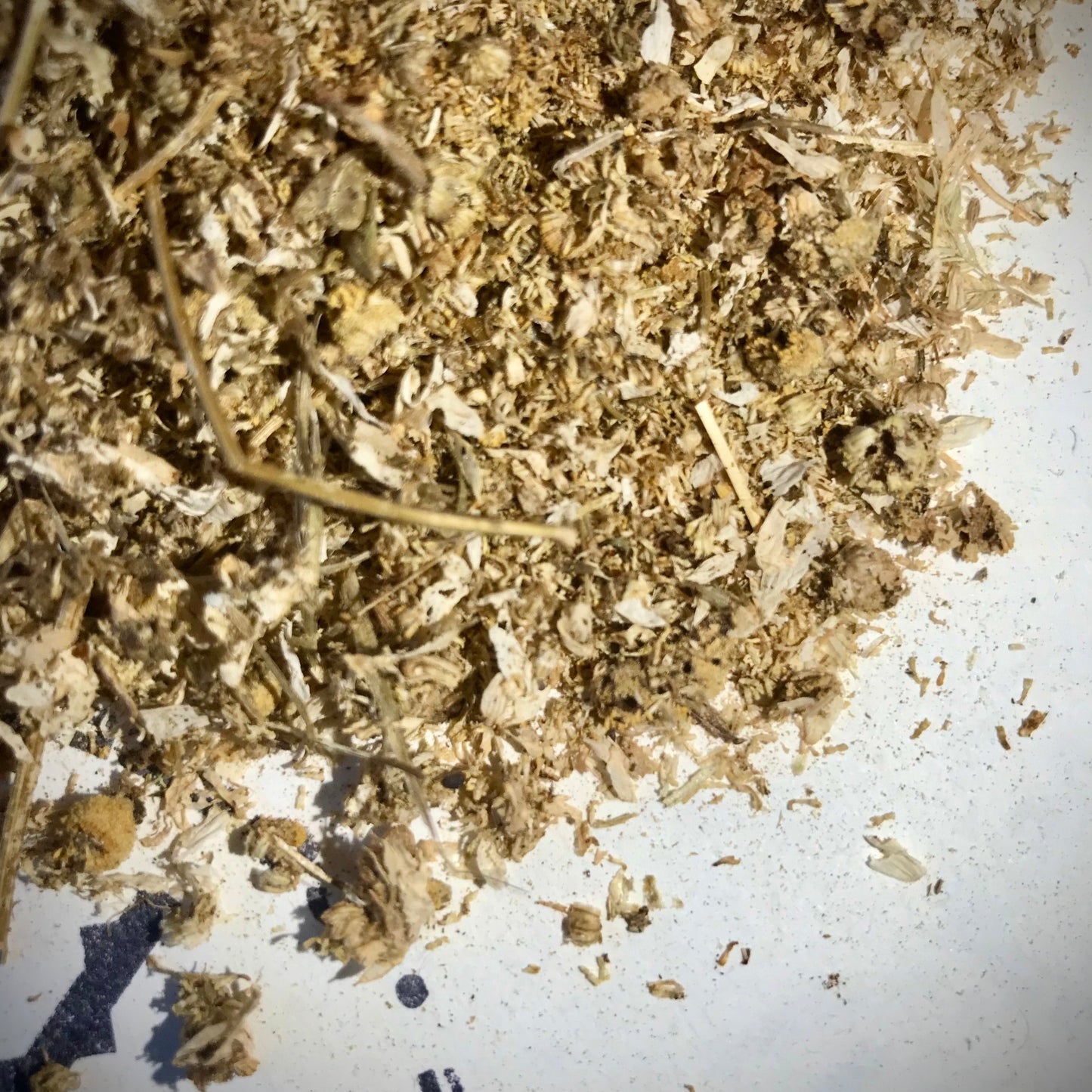 Loose Leaf Tea, Camomile, France