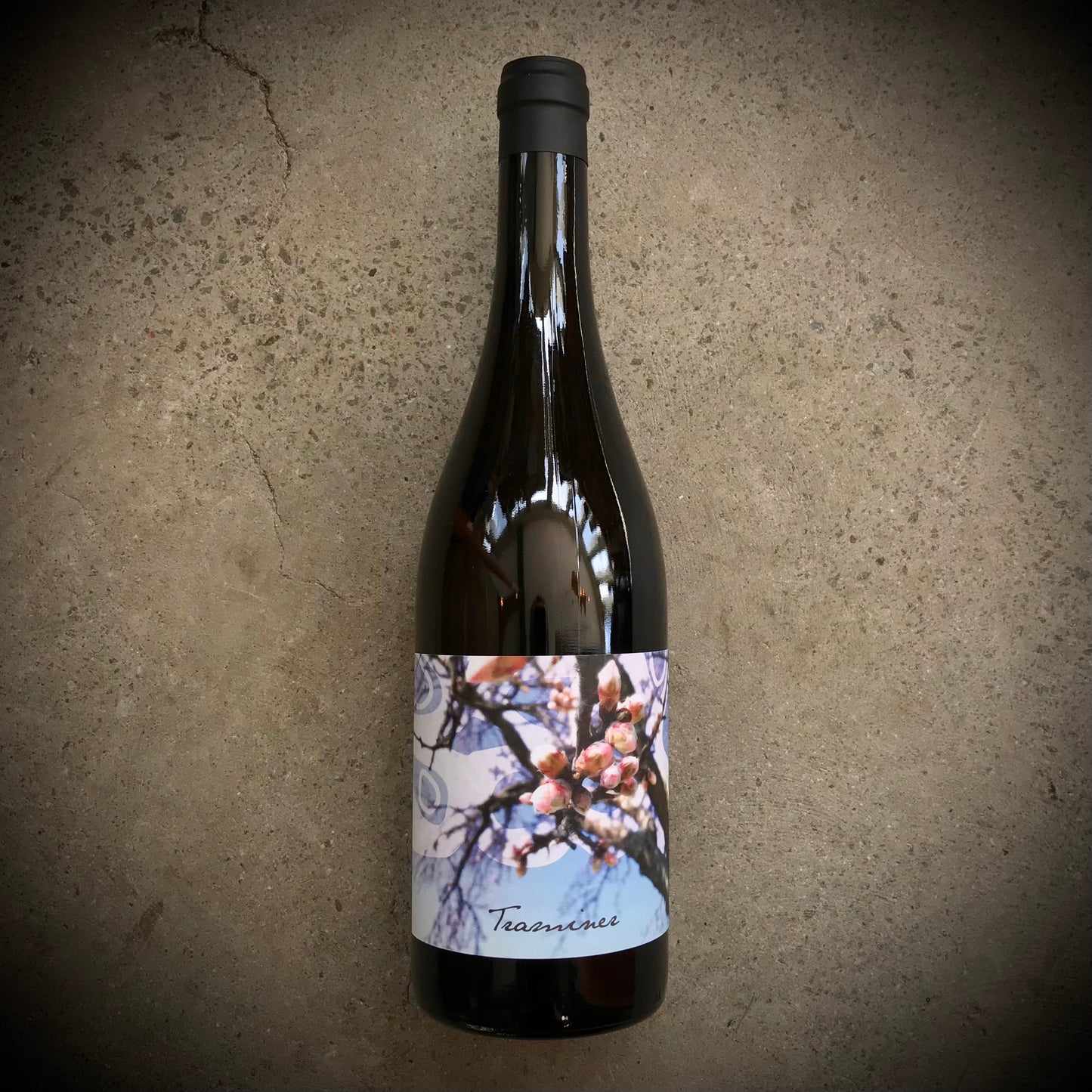 Judith Beck, Traminer, Burgenland, Austria