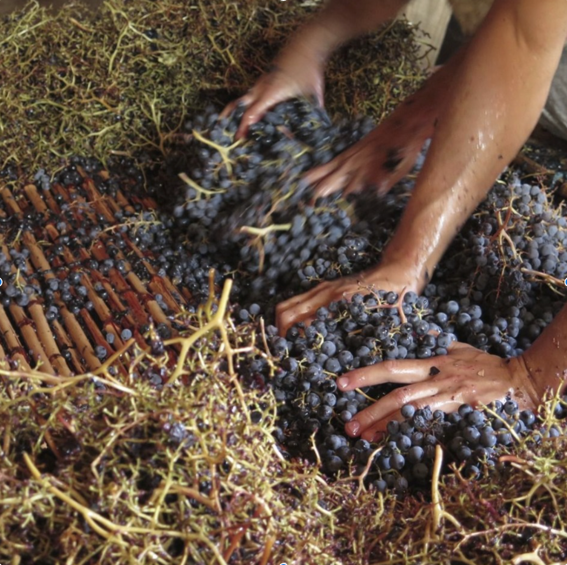 Hinterland an adventure off the beaten track a six bottle box