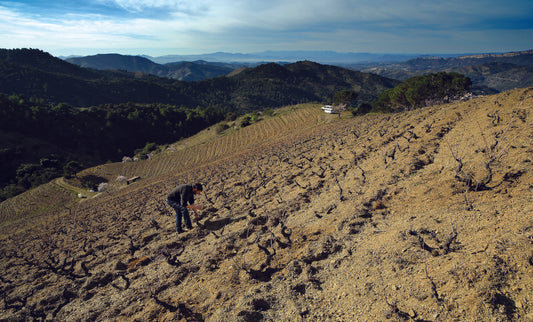 Hinterland. Wines from the places in between.