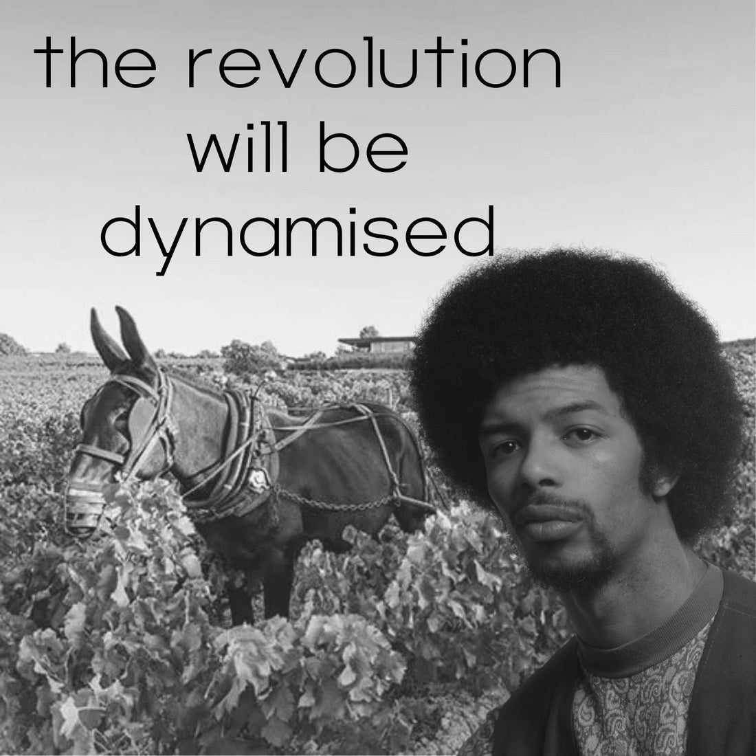The Revolution Will be Dynamised
