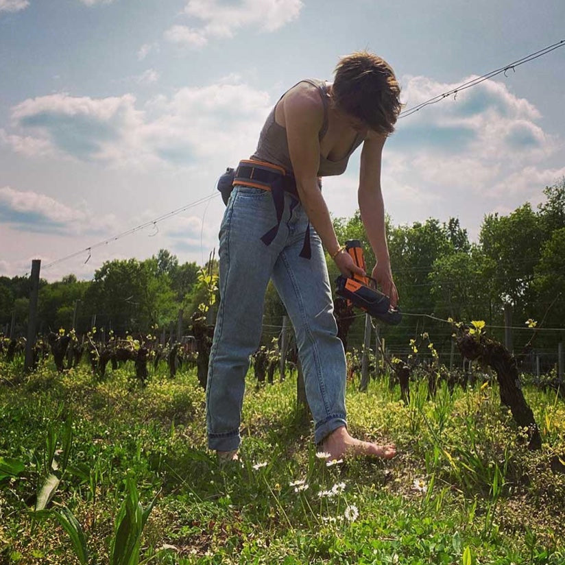 The Edit - Robin's picks for this month - a three bottle box set. November 2025.