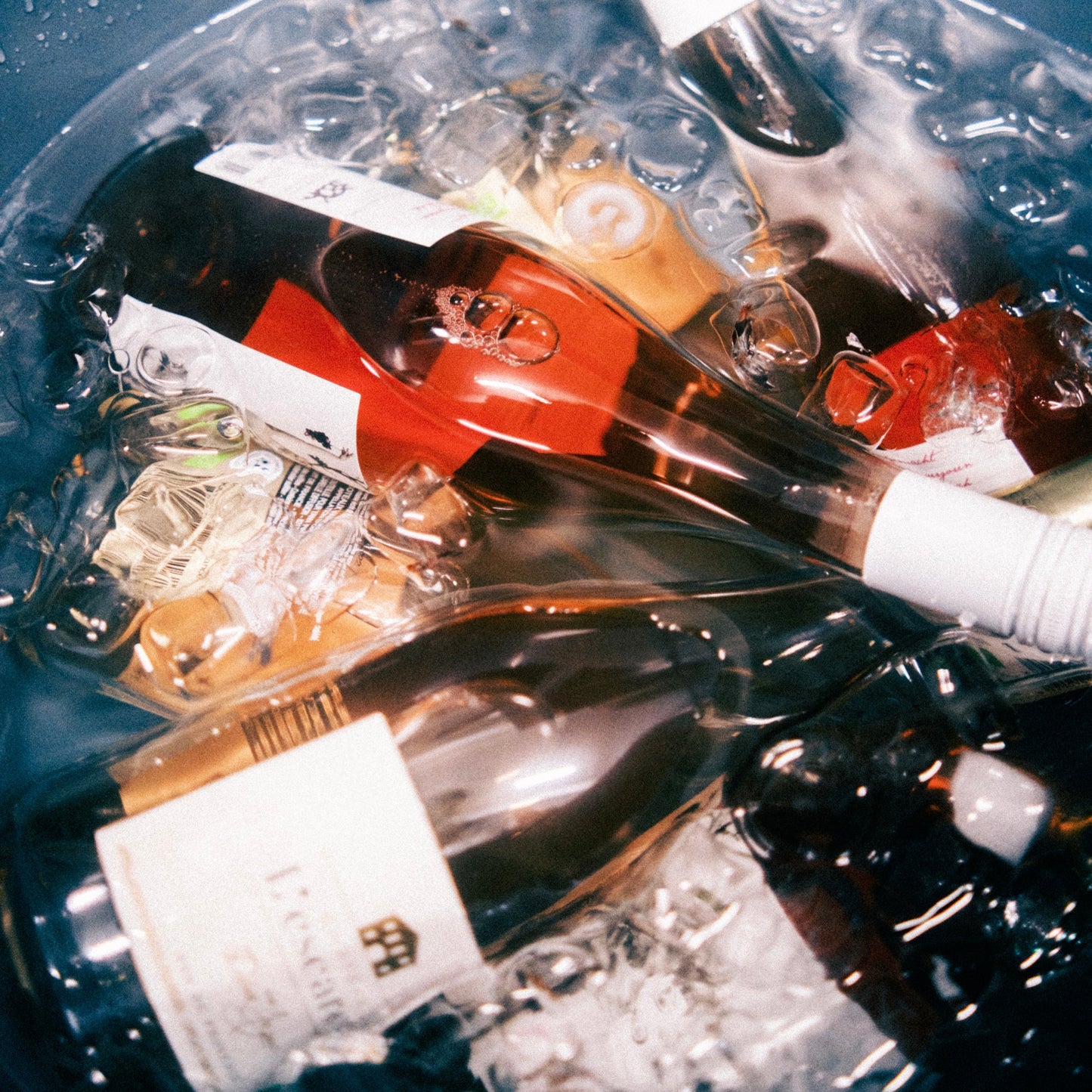 The Christmas Wine Tasting at Iron & Rose - Thursday 26th November 2026