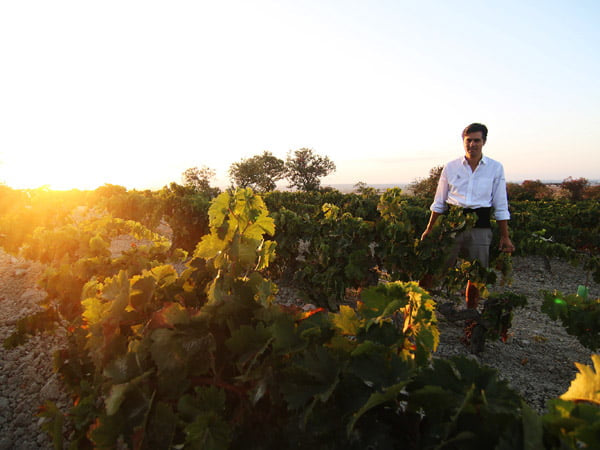 Bodegas de la Riva, Fino Macharnudo, Jerez, Spain