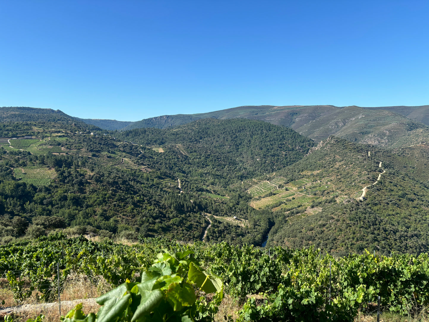 Fedellos, Lomba dos Ares, Ribeira Sacra, Galicia, Spain