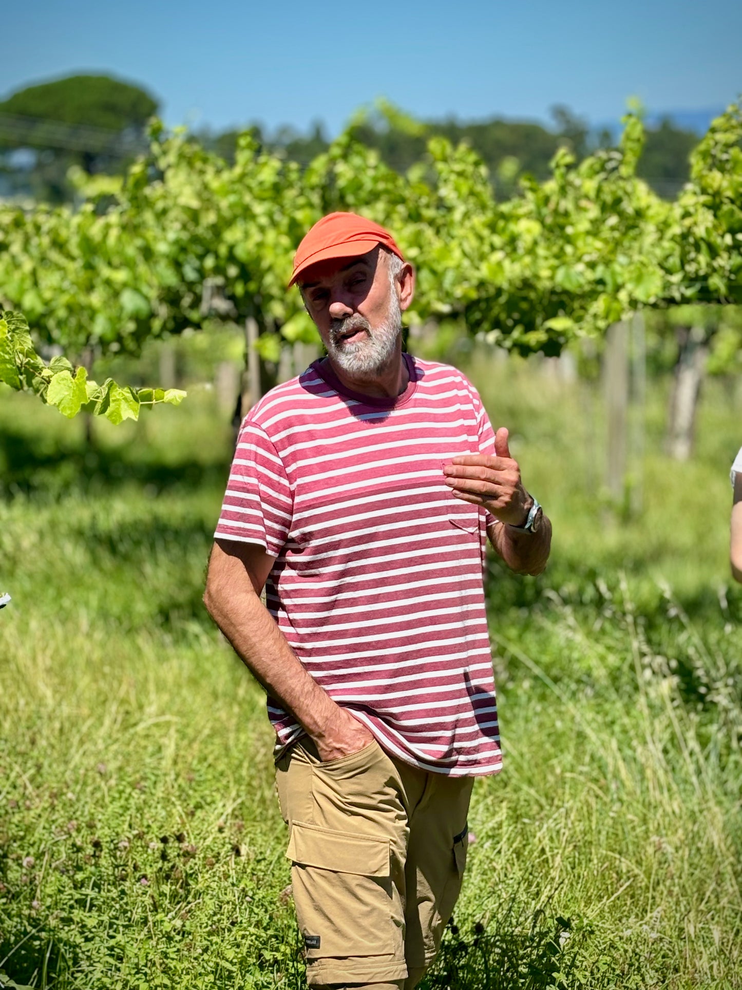 Alberto Nanclares, O Son Das Pisadas, Rias Baixas, Spain