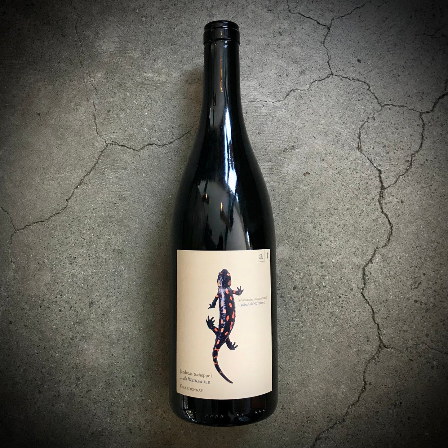 Weingut Andreas Tscheppe, Salamander 2024, Styria, Austria