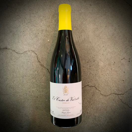 Castro Ventosa, El Castro de Valtuille Blanco, Godello, Bierzo, Spain