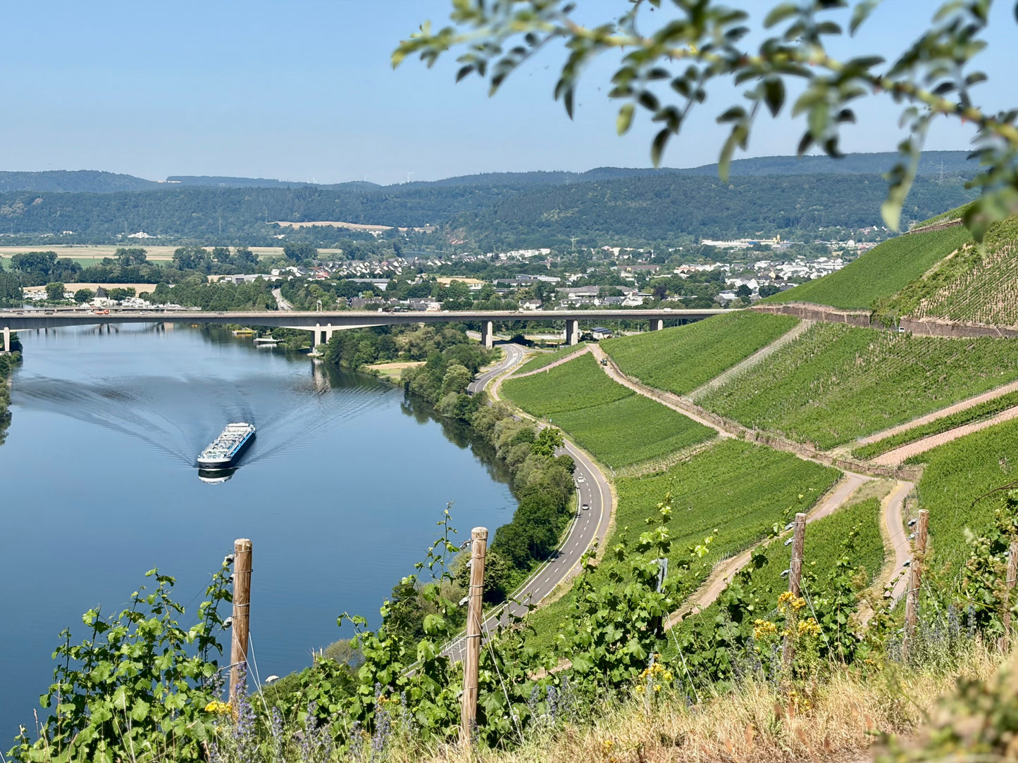 Andreas Bender, Riesling Sekt Klassische, Mosel, Germany