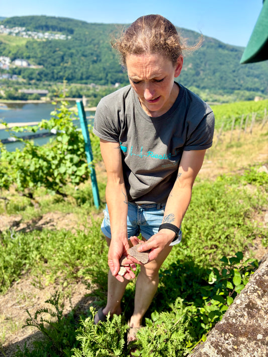 Salz Der Erde, Riesling, Rheingau, Germany