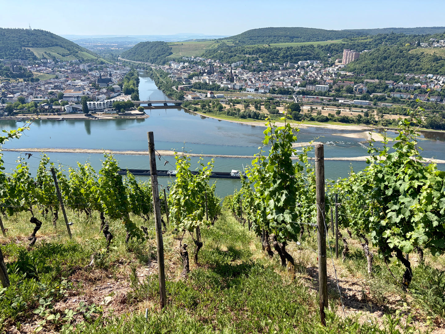 Salz Der Erde, Riesling, Rheingau, Germany