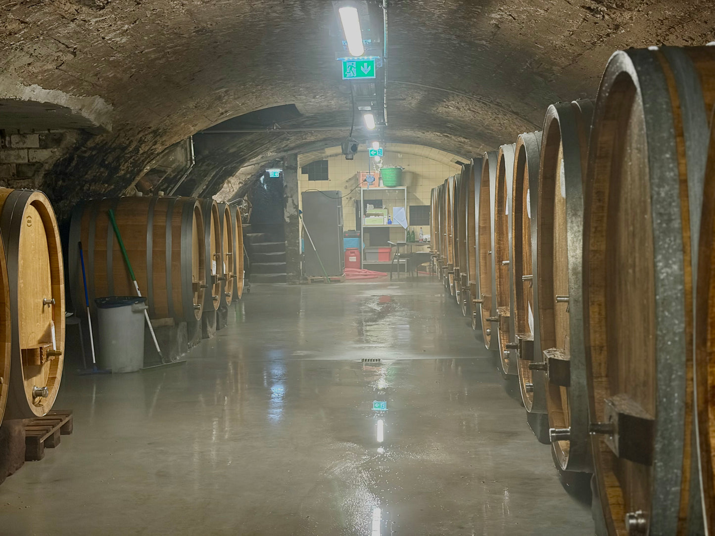 Salz Der Erde, Riesling, Rheingau, Germany