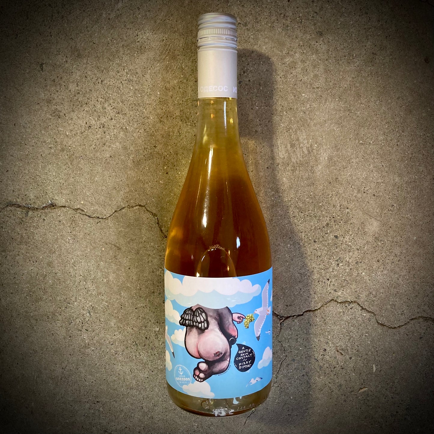 Odessos, Dimyat Gentle Skin Contact 2024, Black Sea Coast, Bulgaria