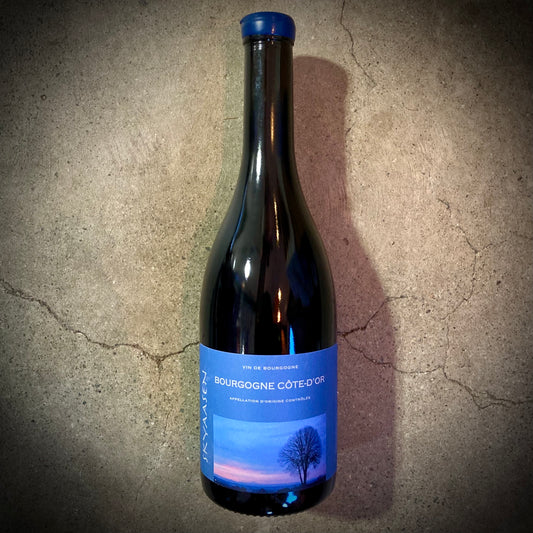 Maison Skyaasen, Bourgogne Côte-d'Or Rouge 2023, Burgundy, France