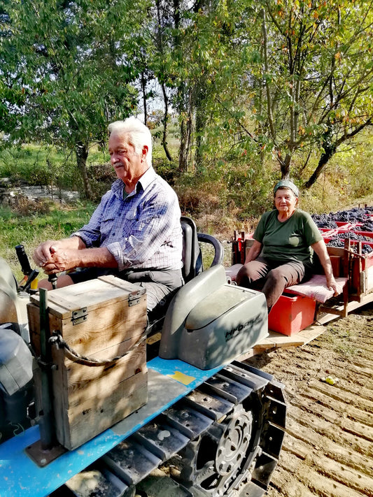 Cascina Borgatta, Lamilla, Piedmont, Italy