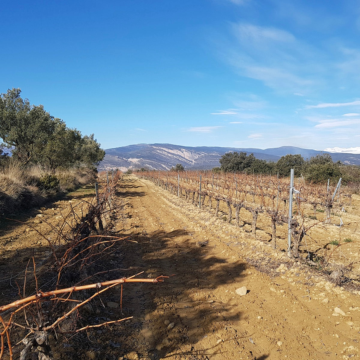 Vuelta a España - Northern Spanish bangers from beyond Rioja  - a seven bottle box set