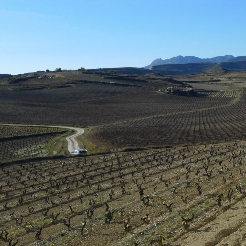 Vuelta a España - Northern Spanish bangers from beyond Rioja  - a six bottle box set