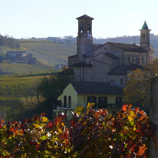 Forza Italy - Heavy Hitters from Northern Italy - a six bottle box set