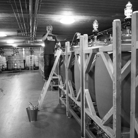 Gleichgewicht - Six Unashamedly Awesome Wines from Austria - a six bottle box set