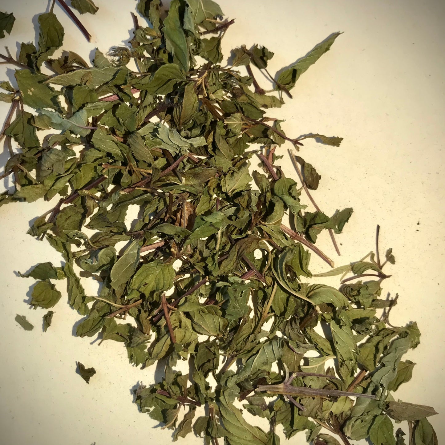 Loose Leaf Tea, Thé à la Menthe, Vietnam / France