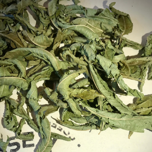 Loose Leaf Tea, Lemon Verbena, France