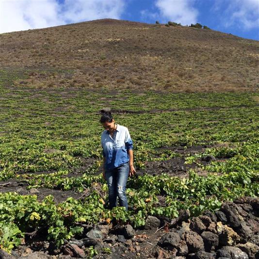 Victoria Torres Pecis, NV Negramoll 'Vino de la Mesa', La Palma, Canary Islands, Spain